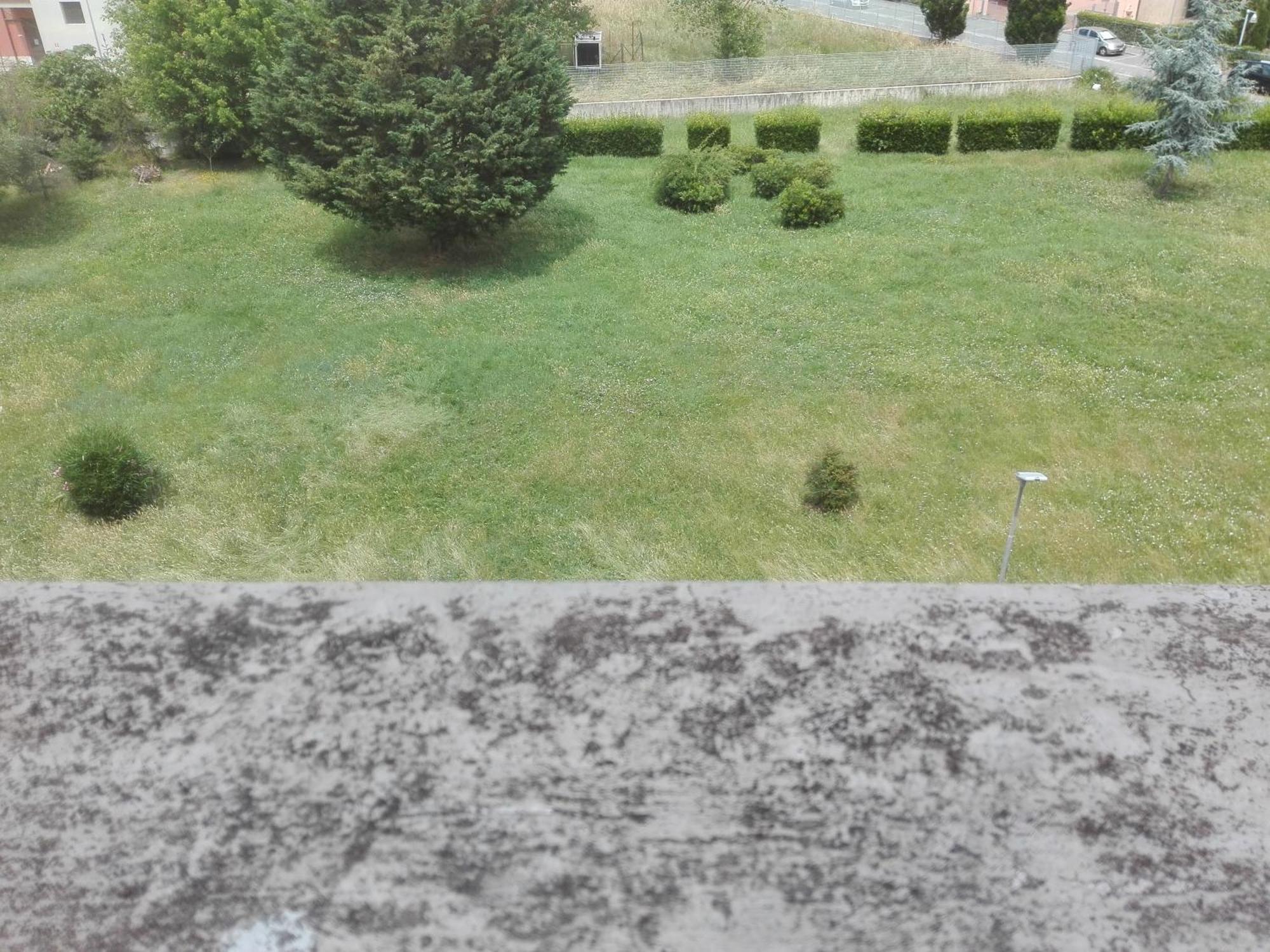 Welchome - Cisanello Pisa Bagian luar foto
